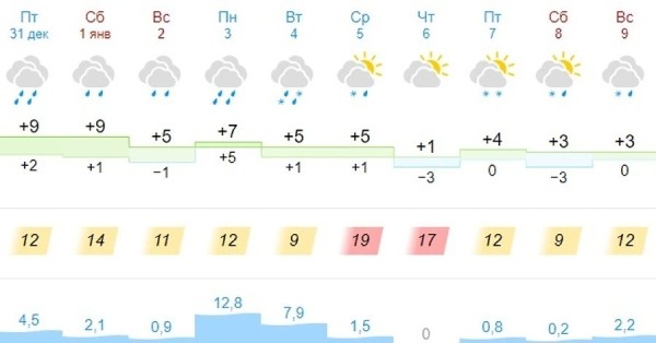 Какой будет погода в Бресте в Новогоднюю ночь?