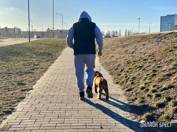 Психология поведения домашних кошек и собак. Разбираемся вместе с зоологом и «Доктор Хвостов» Психология поведения домашних кошек и собак. Разбираемся вместе с зоологом и «Доктор Хвостов»