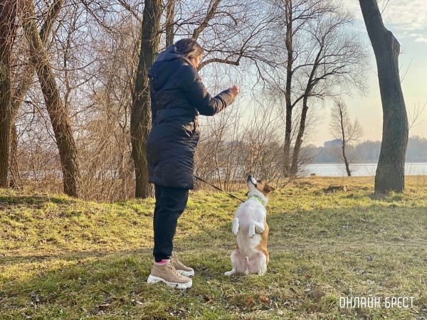 Психология поведения домашних кошек и собак. Разбираемся вместе с зоологом и «Доктор Хвостов» Психология поведения домашних кошек и собак. Разбираемся вместе с зоологом и «Доктор Хвостов»