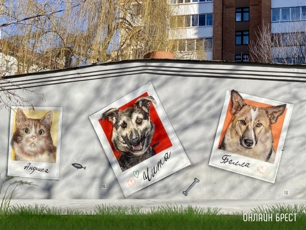 Психология поведения домашних кошек и собак. Разбираемся вместе с зоологом и «Доктор Хвостов» Психология поведения домашних кошек и собак. Разбираемся вместе с зоологом и «Доктор Хвостов»