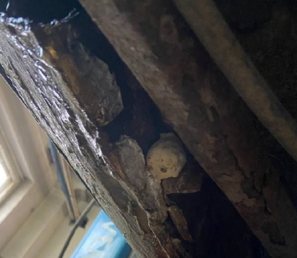 «Продали машину-убийцу, а я предупреждал, что вожу троих детей». История одной покупки в автокомиссионке