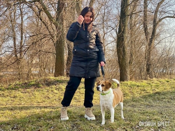 Психология поведения домашних кошек и собак. Разбираемся вместе с зоологом и «Доктор Хвостов» Психология поведения домашних кошек и собак. Разбираемся вместе с зоологом и «Доктор Хвостов»