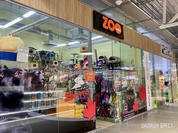 Психология поведения домашних кошек и собак. Разбираемся вместе с зоологом и «Доктор Хвостов» Психология поведения домашних кошек и собак. Разбираемся вместе с зоологом и «Доктор Хвостов»