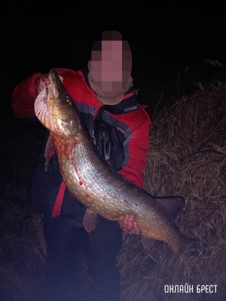 
                Улов жителя Бреста
            