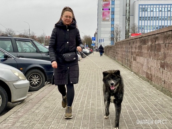 Психология поведения домашних кошек и собак. Разбираемся вместе с зоологом и «Доктор Хвостов» Психология поведения домашних кошек и собак. Разбираемся вместе с зоологом и «Доктор Хвостов»