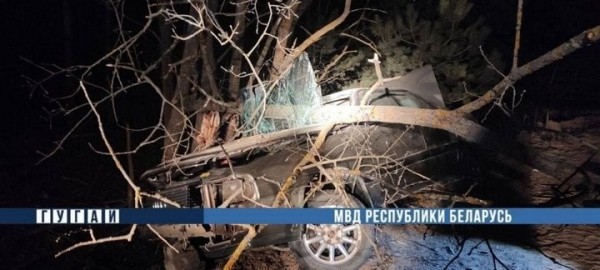 Страшное ДТП в Ивановском районе: погиб водитель Страшное ДТП в Ивановском районе: погиб водитель