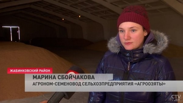 В Брестской области выборочно начали сев ранних яровых культур. Зачем хозяйства пошли на эксперимент с погодой? В Брестской области выборочно начали сев ранних яровых культур. Зачем хозяйства пошли на эксперимент с погодой?