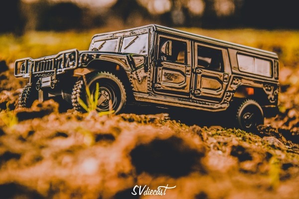 Более 850 штук… Учитель истории из деревни рассказал, как стал коллекционером машинок (много красивых фото и видео)