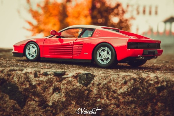 Более 850 штук… Учитель истории из деревни рассказал, как стал коллекционером машинок (много красивых фото и видео)