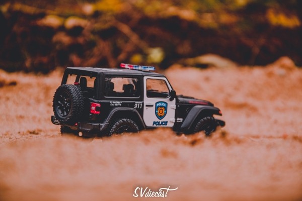 Более 850 штук… Учитель истории из деревни рассказал, как стал коллекционером машинок (много красивых фото и видео)