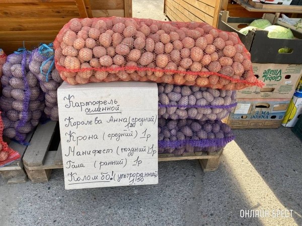 
                Читатель: Что почем на рынке за ЦУМом в Бресте
            