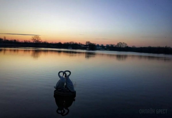 
                Читатель: Река и лебеди. Рассвет на Набережной Бреста
            