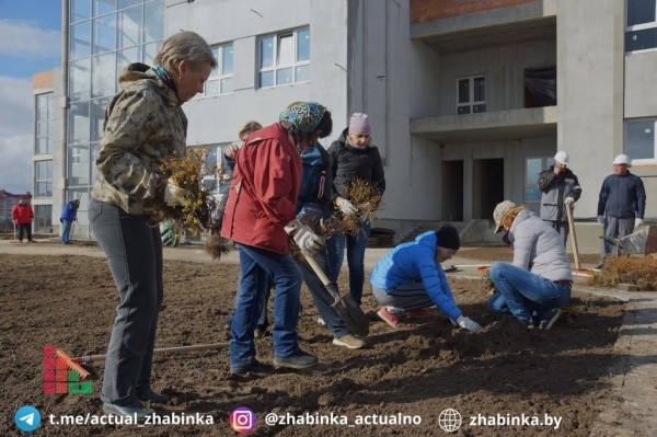 Жабинка провела уникальную экологическую акцию Жабинка провела уникальную экологическую акцию