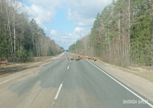 Очевидец: В Ивацевичском районе лесовоз растерял брёвна
Очевидец: В Ивацевичском районе лесовоз растерял брёвна
