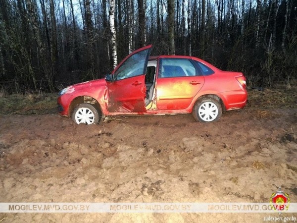 Пьяный житель Брестской области с другом угнали авто и пытались его сжечь Пьяный житель Брестской области с другом угнали авто и пытались его сжечь