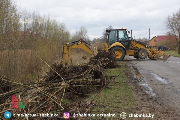Жабинка провела уникальную экологическую акцию Жабинка провела уникальную экологическую акцию