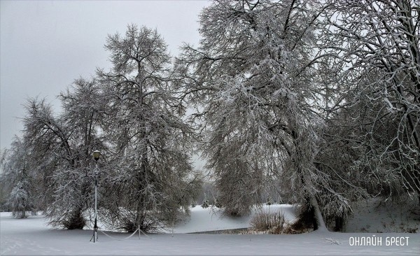 Читатель: Снежный апрель в Брестской крепости
Читатель: Снежный апрель в Брестской крепости