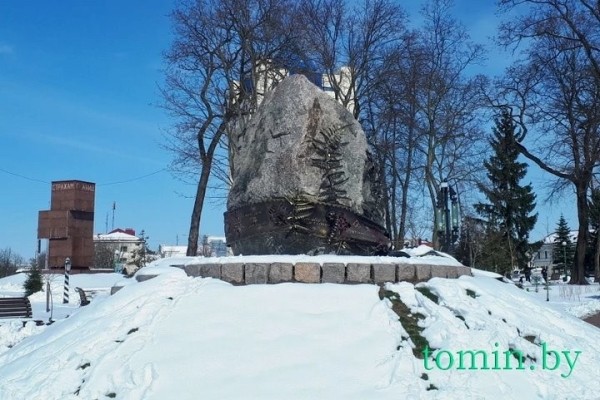 В Бресте расцвела форзиция… на снегу В Бресте расцвела форзиция… на снегу