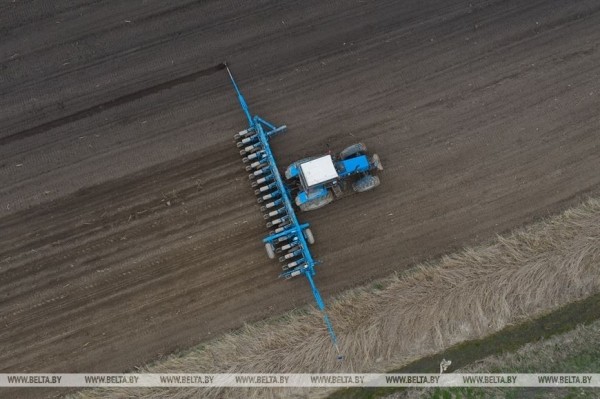 На Брестчине идёт посевная. Фотофакт