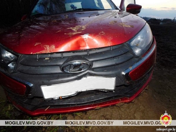 Пьяный житель Брестской области с другом угнали авто и пытались его сжечь Пьяный житель Брестской области с другом угнали авто и пытались его сжечь