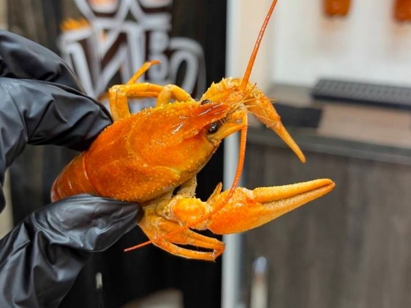 Весь июнь ЛИХИЕ БУДНИ в сети «Пиво Мастер» в Бресте! Скидки на весь ассортимент Весь июнь ЛИХИЕ БУДНИ в сети «Пиво Мастер» в Бресте! Скидки на весь ассортимент