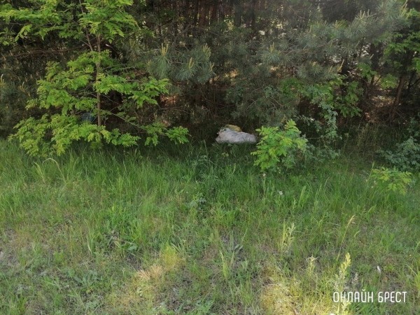 Читатель: Хотелось бы обратить внимание на ситуацию с большегрузами
Читатель: Хотелось бы обратить внимание на ситуацию с большегрузами