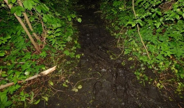 В Пружанском районе утонул рыбак В Пружанском районе утонул рыбак