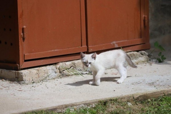 Узнали, что изменилось в жизни юного героя Ромы Когодовского после пожара