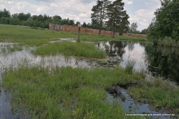 Один умер, двое ранены. Рыбаки массово открыли сезон электротравм Один умер, двое ранены. Рыбаки массово открыли сезон электротравм