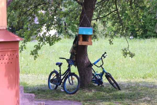 Узнали, что изменилось в жизни юного героя Ромы Когодовского после пожара