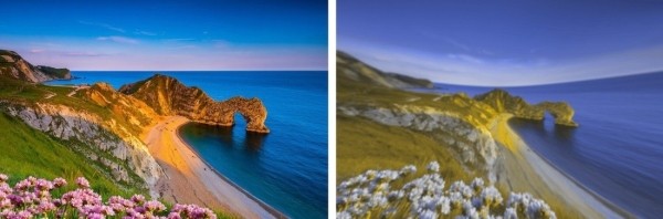 Разительная разница. Ученые показали, как видят мир люди и собаки Разительная разница. Ученые показали, как видят мир люди и собаки