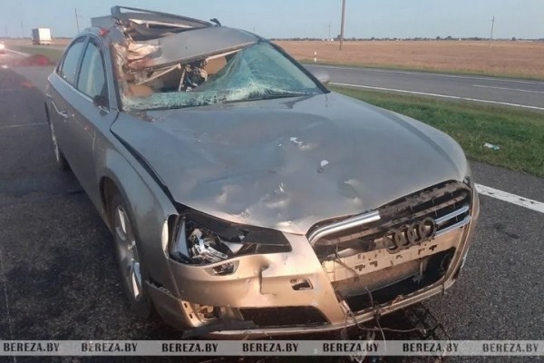 Отец и сын пострадали в ДТП из-за выбежавшей на дорогу лошади в Березовском районе Отец и сын пострадали в ДТП из-за выбежавшей на дорогу лошади в Березовском районе