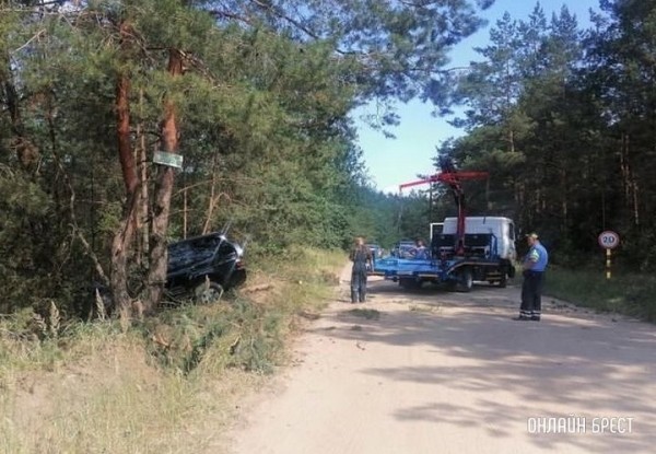 В Кобринском районе автоледи не справилась с управлением, легковушка повисла на дереве В Кобринском районе автоледи не справилась с управлением, легковушка повисла на дереве