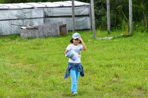 Собирает чернику, завел козу. История белоруса, который в 66 лет остался один с четырьмя детьми Собирает чернику, завел козу. История белоруса, который в 66 лет остался один с четырьмя детьми