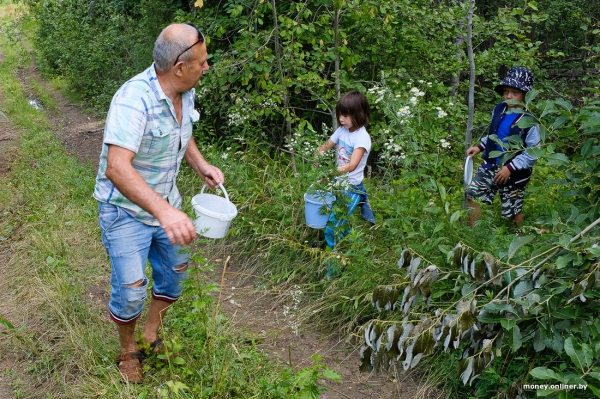 Собирает чернику, завел козу. История белоруса, который в 66 лет остался один с четырьмя детьми Собирает чернику, завел козу. История белоруса, который в 66 лет остался один с четырьмя детьми