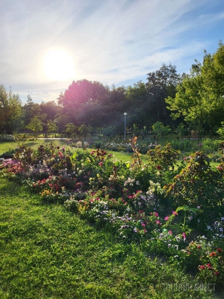 Читатель: Красивая клумба в Бресте на территории БрГТУ
Читатель: Красивая клумба в Бресте на территории БрГТУ