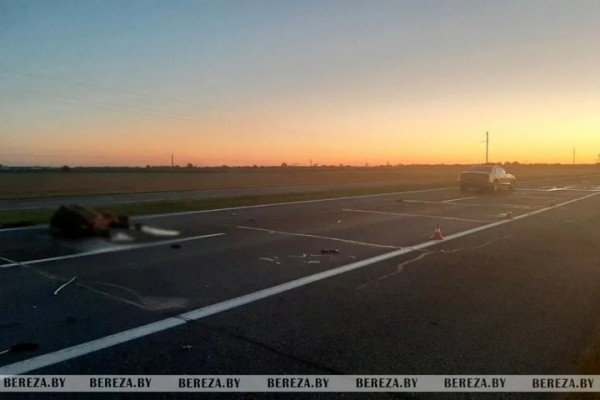 Отец и сын пострадали в ДТП из-за выбежавшей на дорогу лошади в Березовском районе Отец и сын пострадали в ДТП из-за выбежавшей на дорогу лошади в Березовском районе