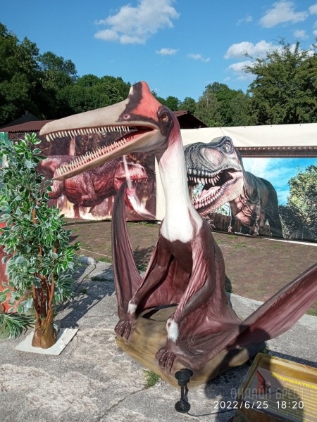 Жаркое лето в большом парке динозавров! Весело проведите время всей семьей в «Динолэнд» в Бресте Жаркое лето в большом парке динозавров! Весело проведите время всей семьей в «Динолэнд» в Бресте