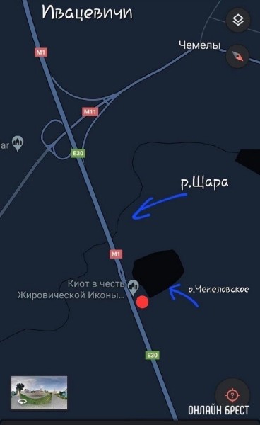 Читатель: Пропала кошка. Ситуация произошла ночью 7 июля на автодороге Минск-Брест
Читатель: Пропала кошка. Ситуация произошла ночью 7 июля на автодороге Минск-Брест