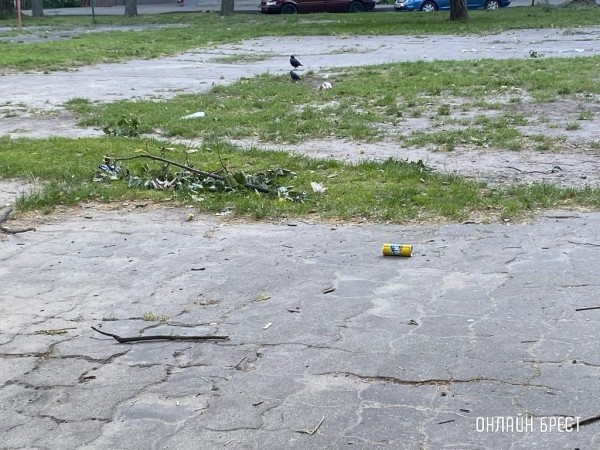 Читатель: Территория детской площадки нуждается в уборке. Брест, бульвар Космонавтов, 33
Читатель: Территория детской площадки нуждается в уборке. Брест, бульвар Космонавтов, 33