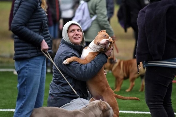 В Беларуси выбрали лучшую собаку В Беларуси выбрали лучшую собаку