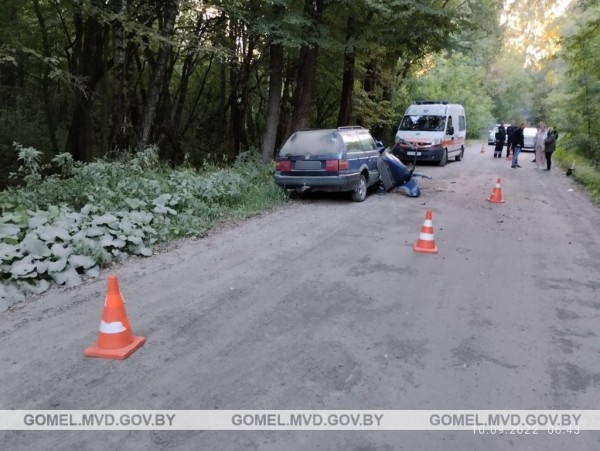 В Беларуси произошло смертельное ДТП из-за выскочившего на дорогу животного. Водитель бросила пассажирку и пошла домой