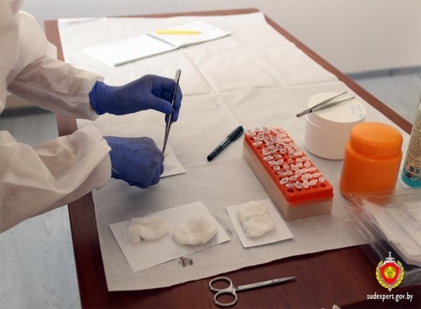 На границе в Бресте изъята крупная партия наркотиков (186 свертков с гашишем)