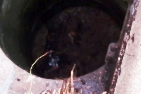 В Польше белорус при проверке фуры выбросил «улику» в люк канализации В Польше белорус при проверке фуры выбросил «улику» в люк канализации