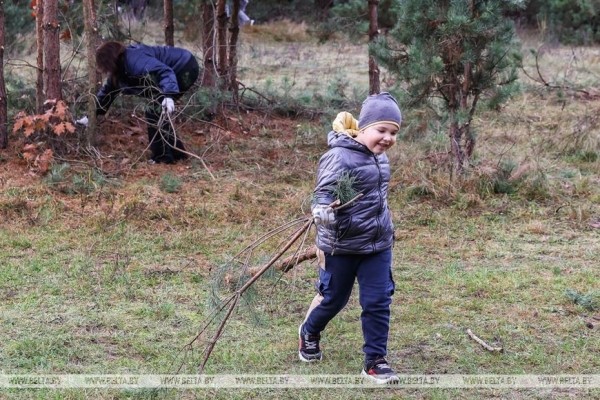 Парк воинов-интернационалистов в Бресте продолжат благоустраивать и создавать новые локации