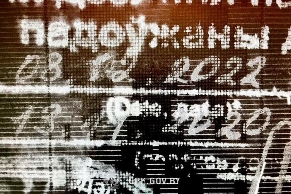 Белоруска изменила одну цифру в паспорте. На границе в Бресте это заметили