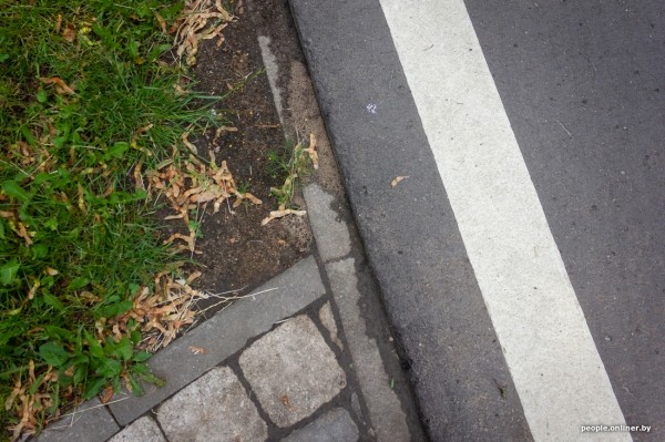 Как изменятся тело и фигура, если месяц заниматься бегом. Рассказывает белорус Как изменятся тело и фигура, если месяц заниматься бегом. Рассказывает белорус