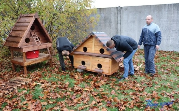 В Барановичах установили первые домики для бездомных котов
