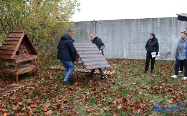 В Барановичах установили первые домики для бездомных котов