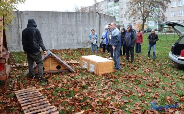 В Барановичах установили первые домики для бездомных котов